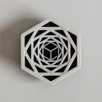 3D Printed Hex Plate