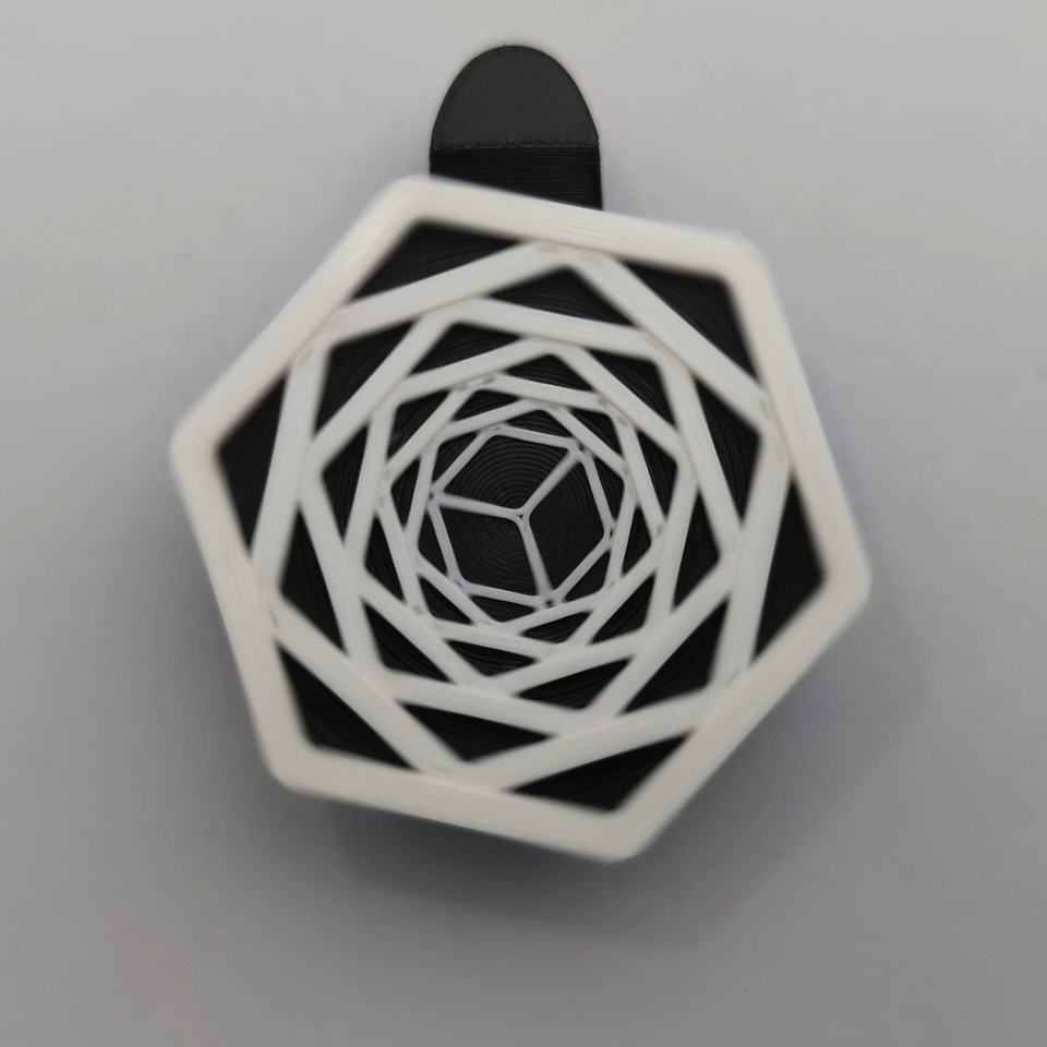 3D Printed Hex Plate